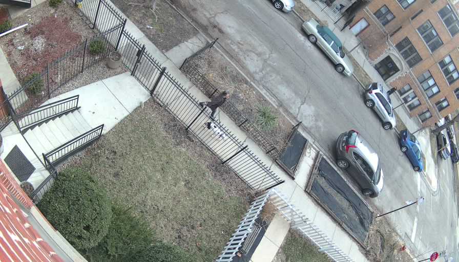 Reolink Camera Two_01_Reolink Home Hub One_20260320092245.jpg